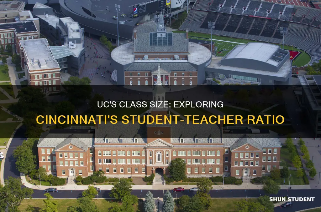 what is the university of cincinnati