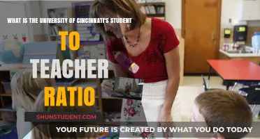 Cincinnati Student-Teacher Ratio: An Intimate Learning Environment?