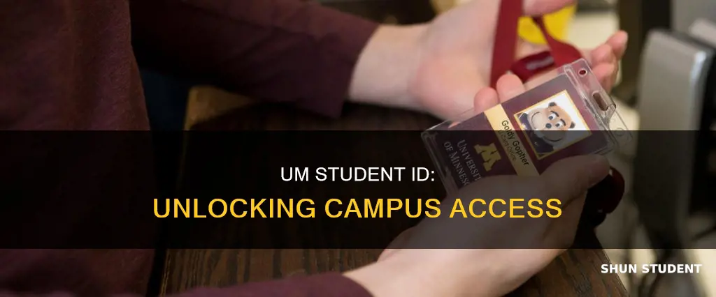 what is the university of minnesota student id number