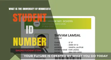 University of Minnesota Student IDs: What You Need to Know