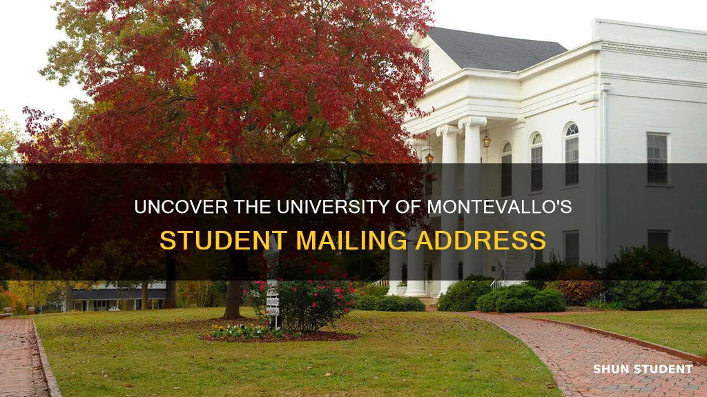 what is the university of montevallo student mailing address