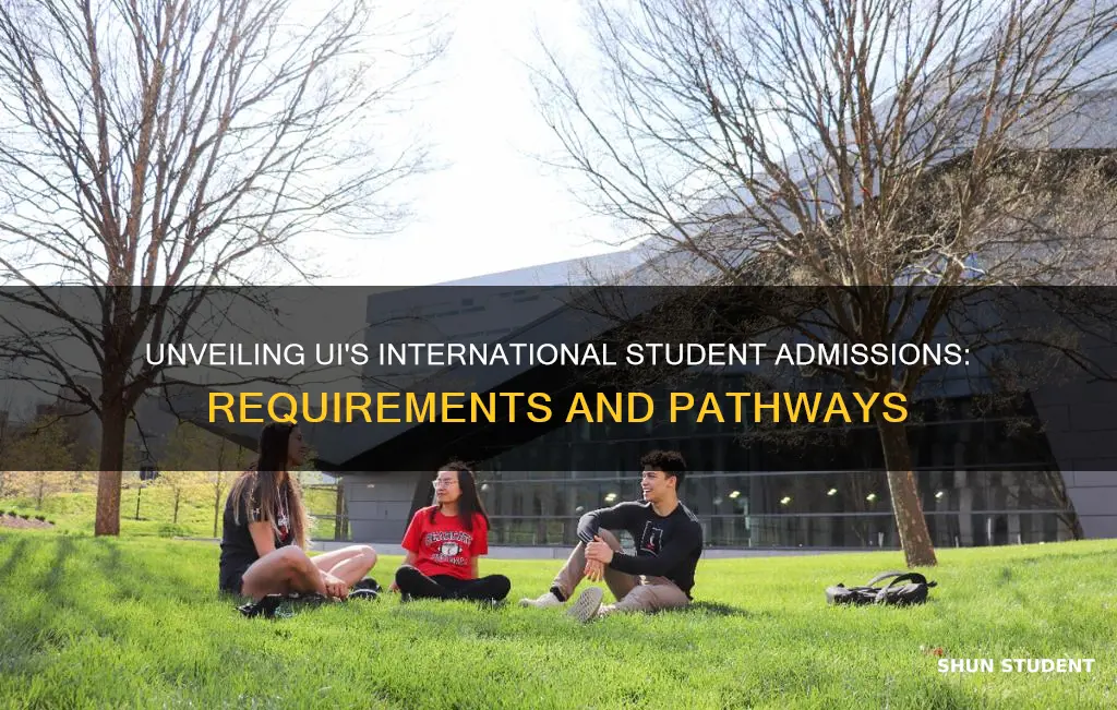 what is the upper iowa university requirements for international students