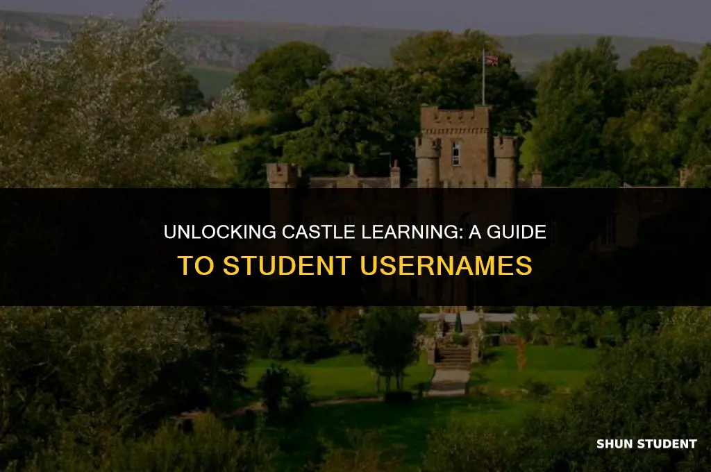 what is the username for castle learning students