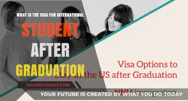 Post-Graduation: International Student Visa Options