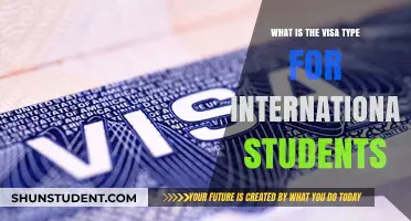 Visa Options for International Students: Understanding the Basics