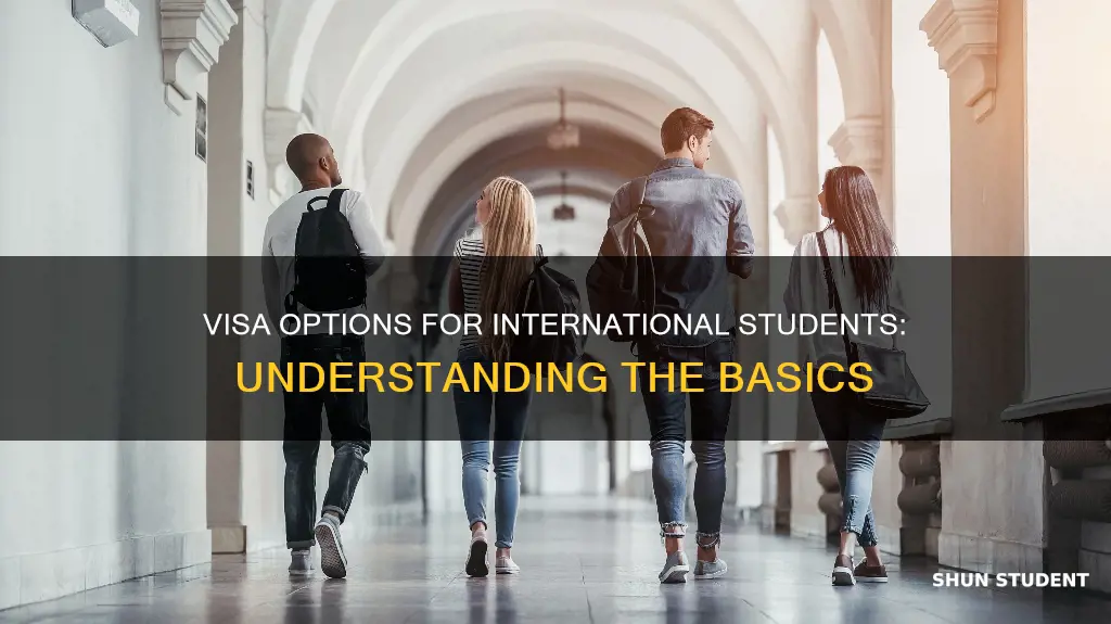 what is the visa type for international students
