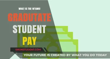 WTAMU Graduate Student Pay: How Much?