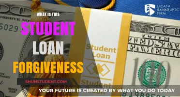 Understanding Student Loan Forgiveness: A Comprehensive Guide for Borrowers