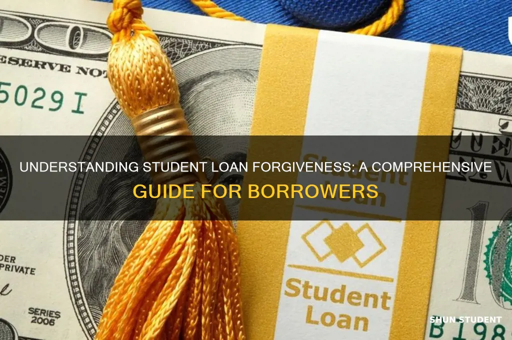 what is this student loan forgiveness