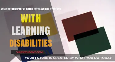 Enhancing Learning: Transparent Color Overlays for Students with Disabilities