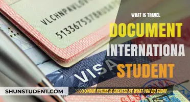 Travel Documents: What International Students Need to Know