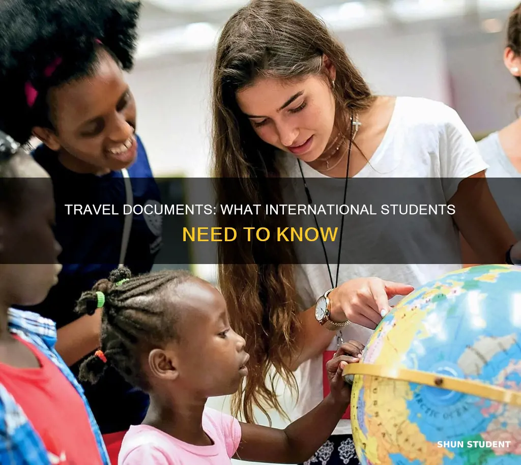 what is travel document international student