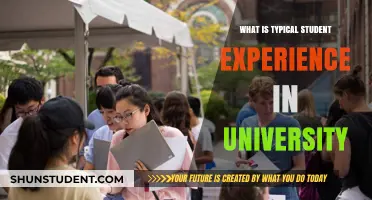 Student Life: A Typical University Experience