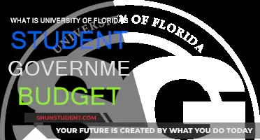 Unraveling UF's Student Government Budget: A Deep Dive into Student Affairs