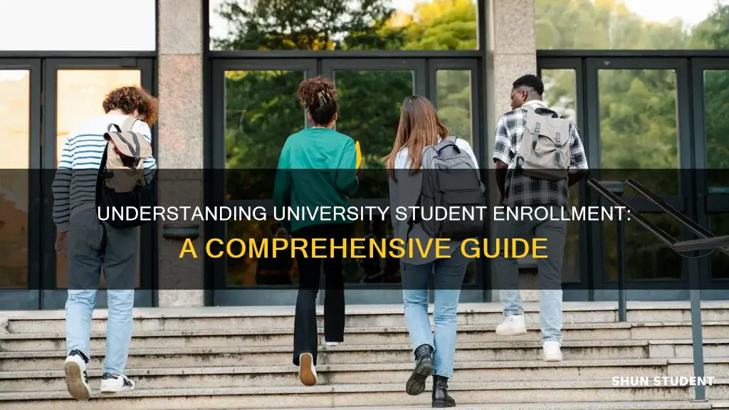 what is university student enrollment