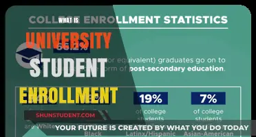University Student Enrollment: Understanding the Process