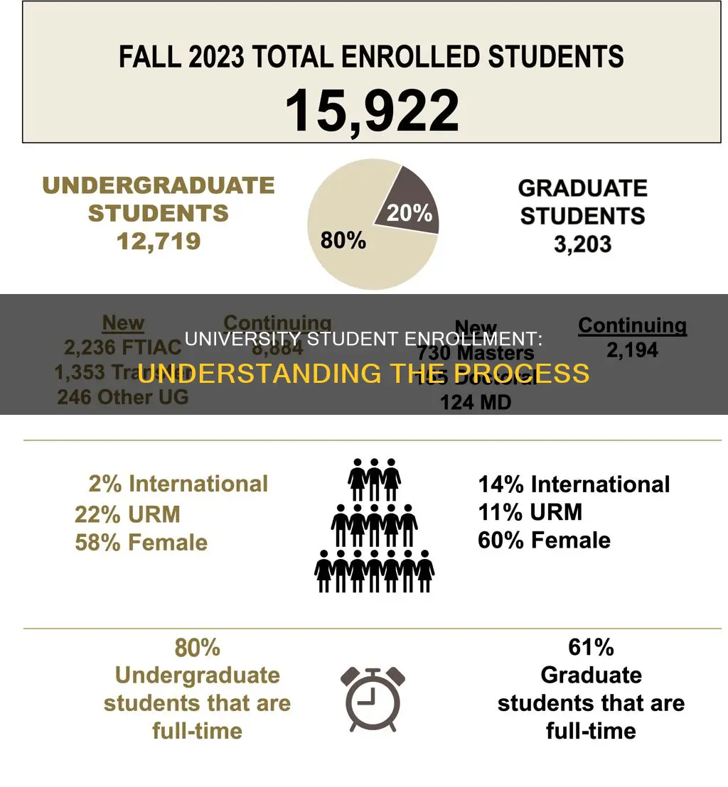 what is university student enrollment