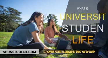 Unveiling the Vibrant World of University Student Life: A Journey of Discovery