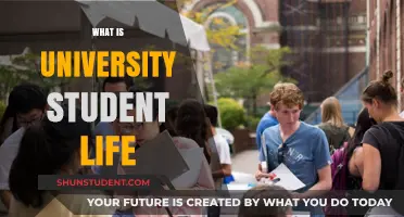 University Student Life: An Unforgettable Journey