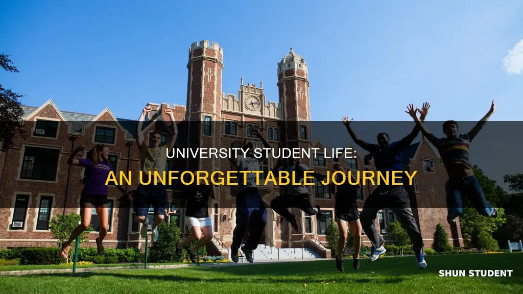 what is university student life