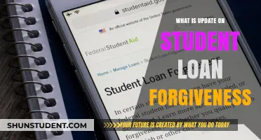 Latest Student Loan Forgiveness Updates: What Borrowers Need to Know