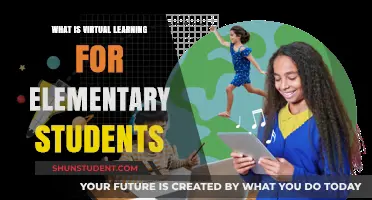 Exploring Virtual Learning: A Guide for Elementary Students