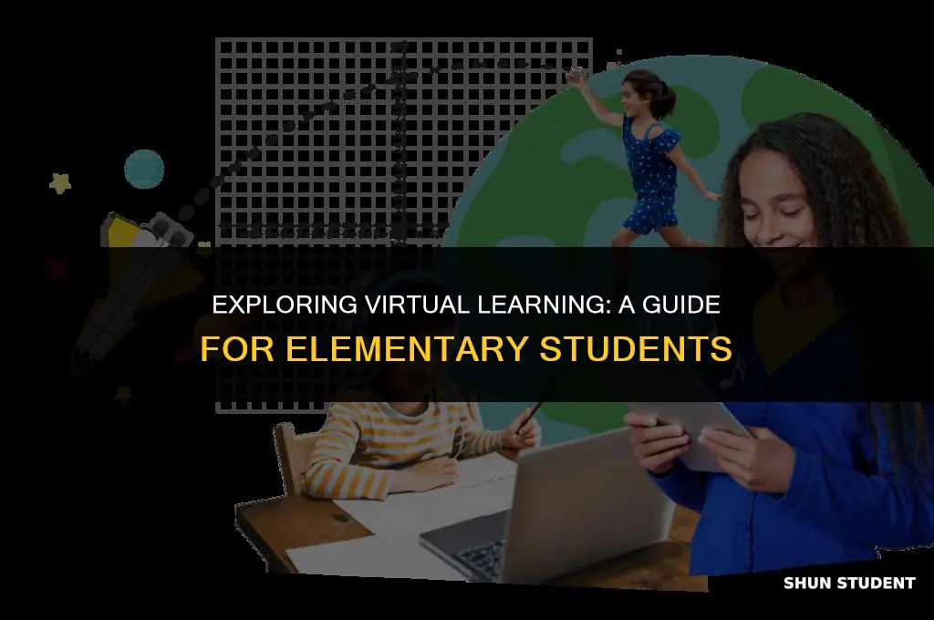 what is virtual learning for elementary students