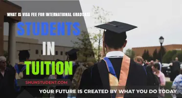 Visa Fees: International Grad Students' Tuition Explained
