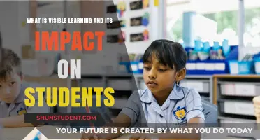 Unlocking Potential: The Power of Visible Learning in Education