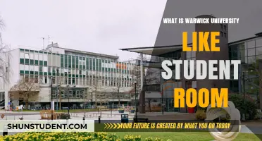 Warwick University: Student Room Experience