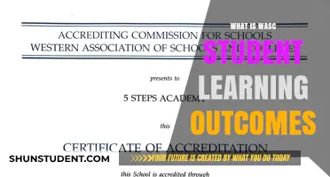 Exploring WASC Student Learning Outcomes: A Comprehensive Guide