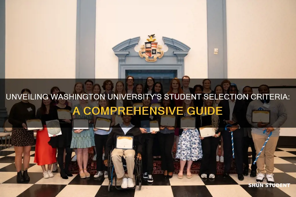 what is washington university look for in students