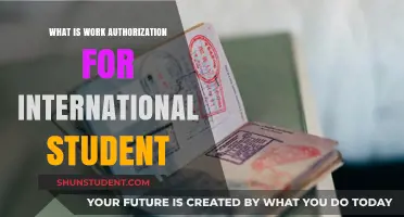 International Students: Work Authorization Explained