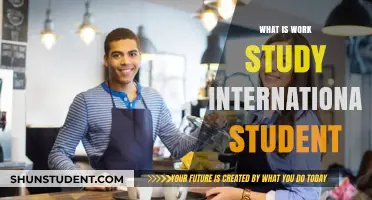Work, Study, and Immigration: A Guide for International Students