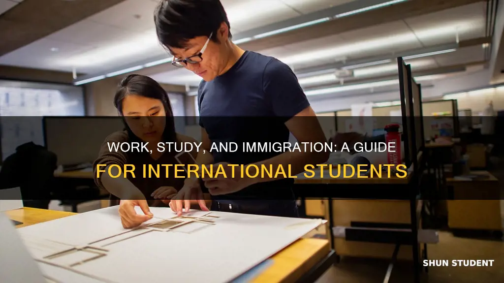 what is work study international student