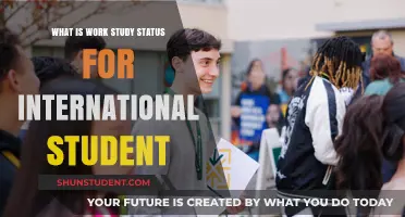Work-Study Status: A Guide for International Students