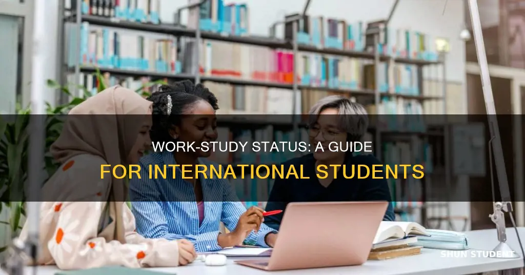 what is work study status for international student