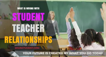 Unethical Boundaries: The Dangers of Student-Teacher Relationships Explored