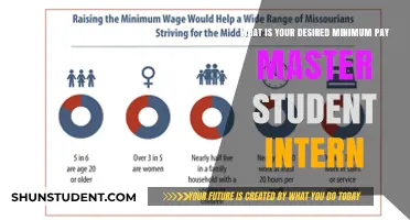 Compensation Expectations for Master's Student Interns