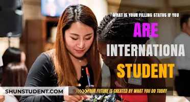 Understanding Your Tax Filing Status as an International Student