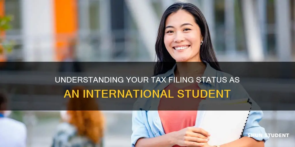 what is your filling status if you are international student