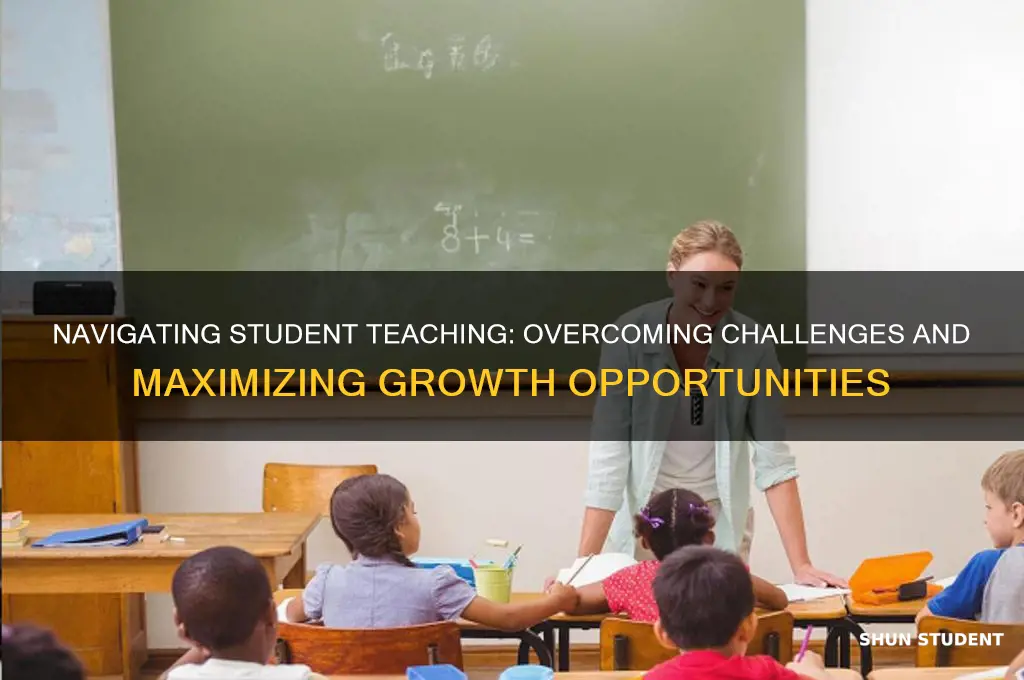 what is your greatest concern about the student teaching experience