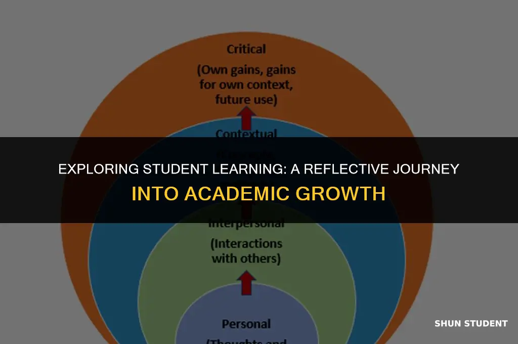 what is your interpretation of the students learning