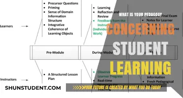Exploring Effective Pedagogies: A Guide to Enhancing Student Learning Outcomes