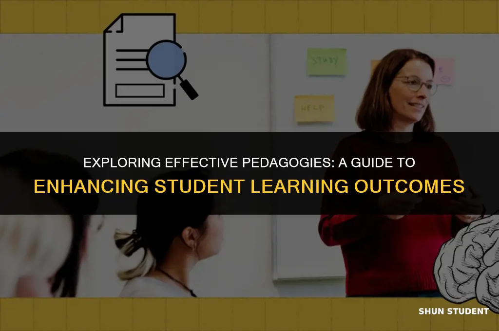 what is your pedagogy concerning student learning