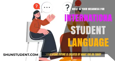 How Language Barriers Can Be Overcome by International Students