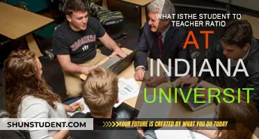 Indiana University's Student-Teacher Ratio: Unveiling the Class Dynamics