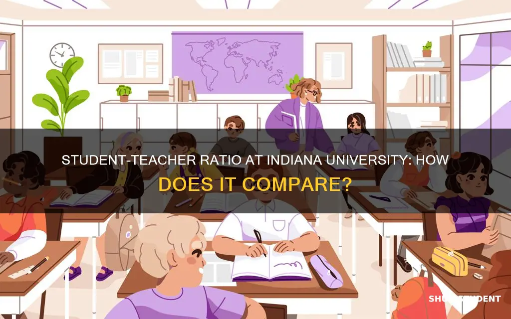 what isthe student to teacher ratio at indiana university