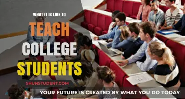 Teaching College Students: Insights, Challenges, and Rewarding Moments