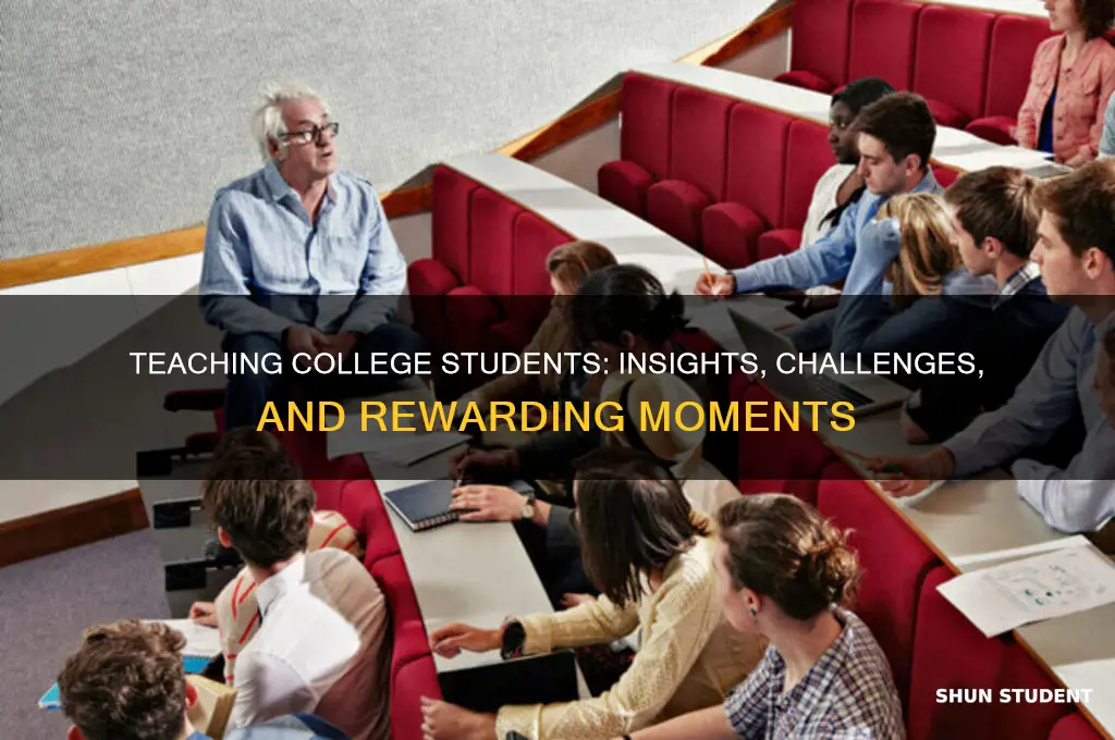 what it is like to teach college students
